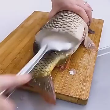 Fish Scaler Sautooth Scale Scraper