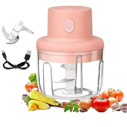 Wireless Minii Garlic Chopper, 2 Pack Electric Small Food Processor, 250ML Portable Food Chopper for Onion Vegetables Meat Baby Food Ginger