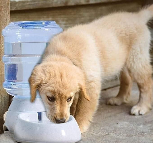 Pet Water Dispenser